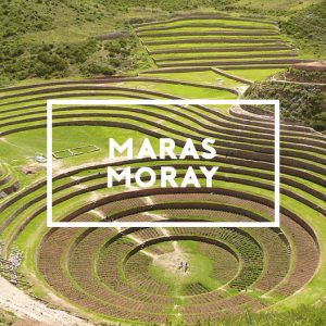 Maras Moray